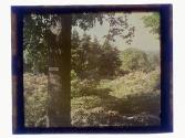 [Highland (?) Park view]