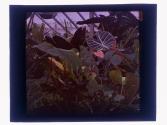 [Lamberton Conservatory [?]]