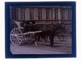 [Man asleep in horse and buggy]