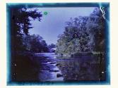 Honeoye