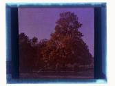 [Landscape]