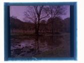 [View of creek]