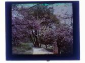 [Women in park]