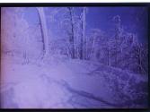 [Landscape in snow]