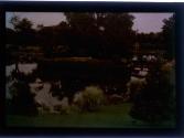 [Sonnenberg Gardens(?)]