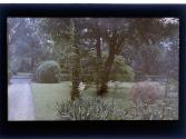 [Sonnenberg Gardens (?)]