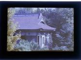 [Sonnenberg Gardens]