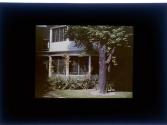 [House with tree in front]