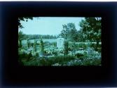 [Sonnenberg Gardens (?)]