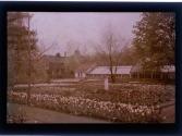 [Sonnenberg Gardens (?)]