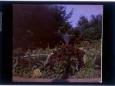 [Flowers and fountain in garden]