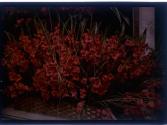 [Flowers in basket]
