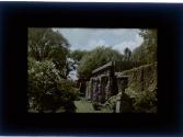 [George Eastman House]