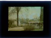 [George Eastman House]