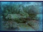 [Gardens - George Eastman House (?)]