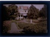[House and garden]