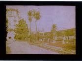[Flower bed along street]