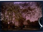 [View of house]