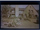 [View of house and flowers]