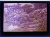 [Flowers, stone stairs and trellis]