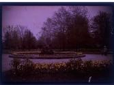 [Flowers, fountain, and children in park]