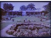 [View of greenhouse flowers and pool]