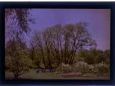 [Group of children in park holding hands, Highland Park, Rochester, NY]