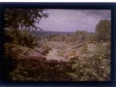 [View in Highland Park, Rochester, NY]