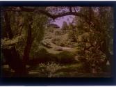 [Children's Pavillion, Highland Park, Rochester, NY]