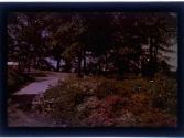 [View of park]