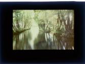 [View of river]