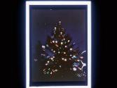 [Lighted tree]