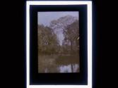 [View of water]