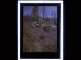 [Landscape]