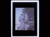 [View of water and side of cliff]
