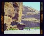 [Sheep in canyon]