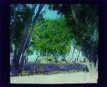 (illeg.) at Chin Lee. Arizona.