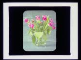 Floral study-daffodils