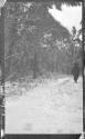 Woman walking in woods