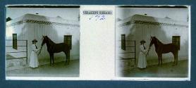 [Unid. woman holding reins of horse]