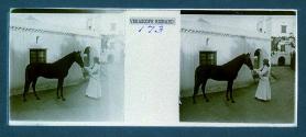 [Unid. woman holding reins of horse]