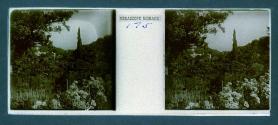 [View of landscape with building in backround]