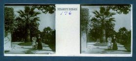 [Two unid. women standing in front of palm(?) tree]