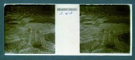 [Stone floor mosaic]