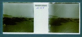 [View of field with water in backround]
