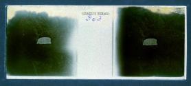 [Torn paper with writing]