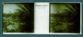 [View of stream and vegatation]