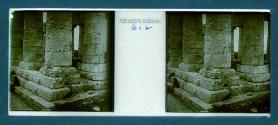 [Dog at base of stone columns  Greek Ruins (?)]