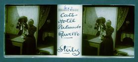 Cats Hotel Palumbo Ravello Italy