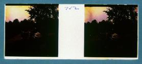 [Two women in garden]
